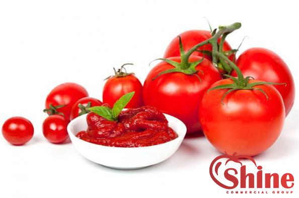 What Is the Best Type of Double Tomato Concentrate?