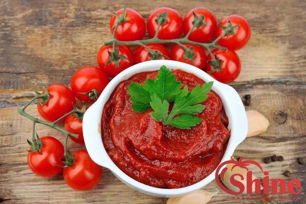  the Best Suppliers of Triple Tomato Concentrate