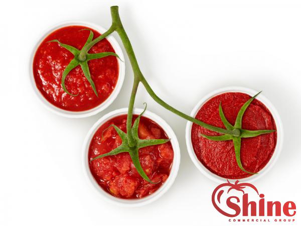 Suppliers of Fresh Tomato Paste