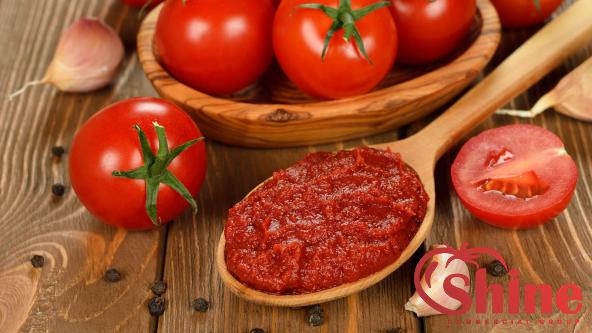 Fresh Organic Tomato Paste Sale