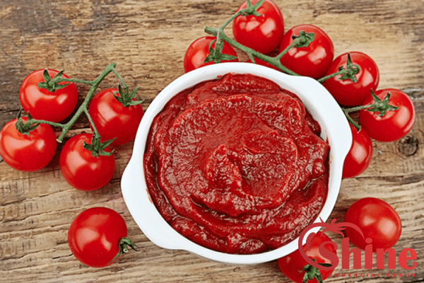 Best Tomato Paste Wholesale