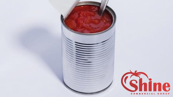 The Best Sellers of Canned Tomato Paste in Bulk