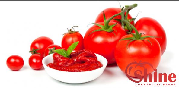 Manufacturers of Tomato Concentrate at a Cheap Price