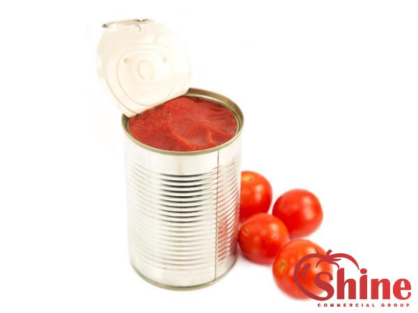  Canned Tomato Paste and Recommendations on Its Consumption