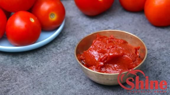 How to Use  Concentrated Tomato Paste in Cooking 