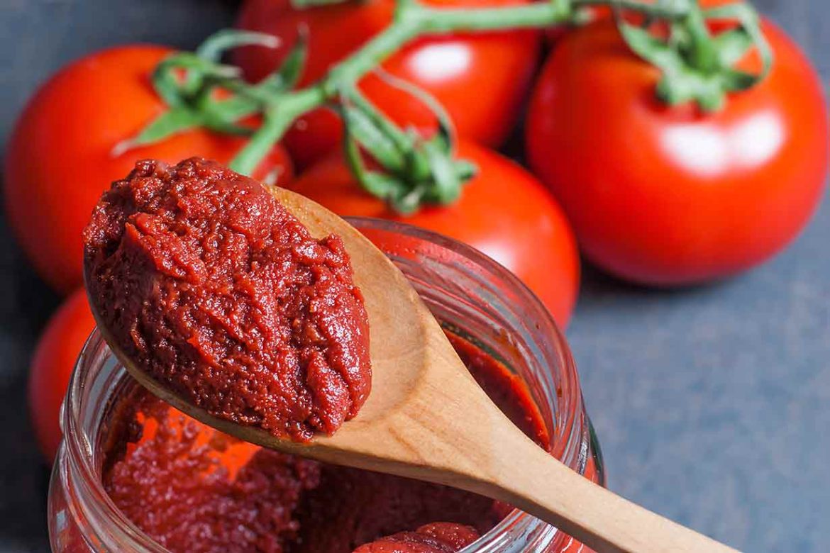 Tomato powder vs paste bulk uses