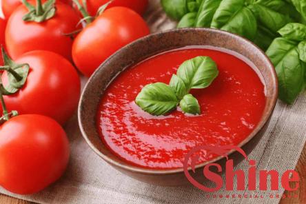 gia sundried tomato paste with complete explanations and familiarization