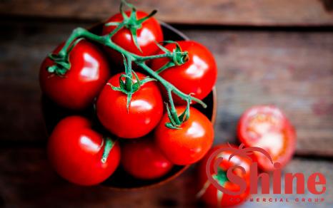 Price and purchase best tomato paste canada with complete specifications