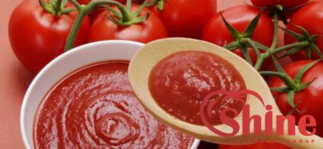 aldi sundried tomato paste with complete explanations and familiarization