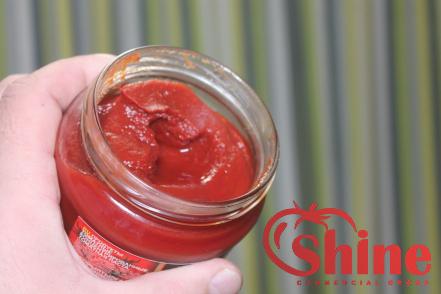 Price and purchase best day tomato paste with complete specifications