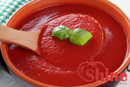 balsamic sundried tomato paste with complete explanations and familiarization