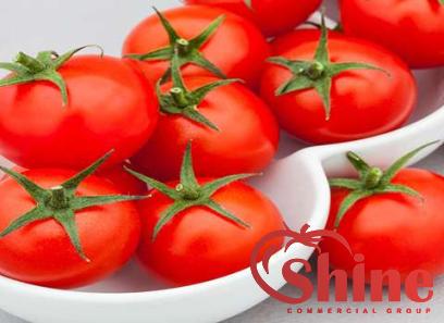 Price and purchase tomato paste chili with complete specifications
