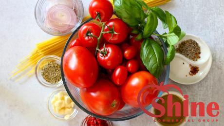 easy made tomato paste with complete explanations and familiarization