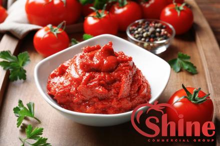 Price and purchase best canned tomato paste with complete specifications