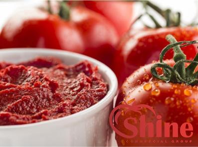 diy sundried tomato paste with complete explanations and familiarization