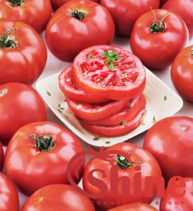 Price and purchase red chicken tomato paste with complete specifications