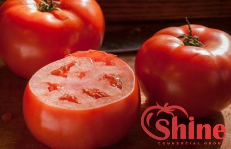 Price and purchase best tomato paste australia with complete specifications