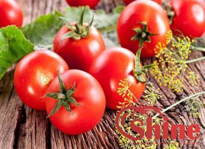 Price and purchase al mudhish tomato paste with complete specifications