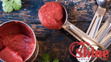 Price and purchase canning homemade tomato paste with complete specifications