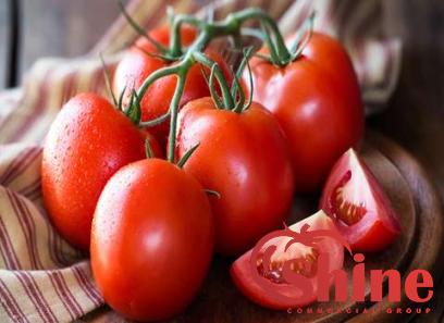 Price and purchase tomato paste aldi with complete specifications