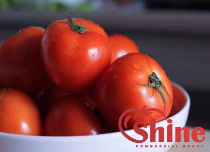 Price and purchase cento tomato paste with complete specifications