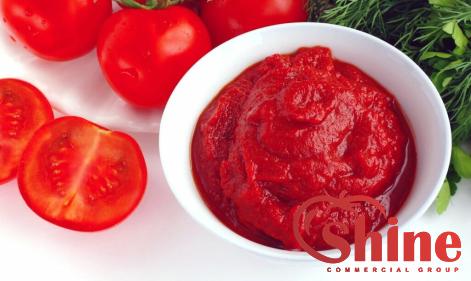 sun dried tomato paste canada with complete explanations and familiarization